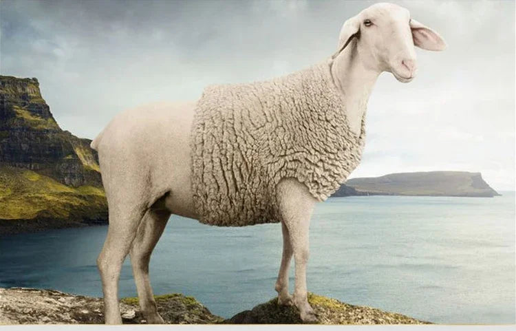 Men's Genuine leather jacket Fur Integrated Jacket Male Winter Sheepskin Jacket Oversized Leather Coats Motorcycle Jacket Man